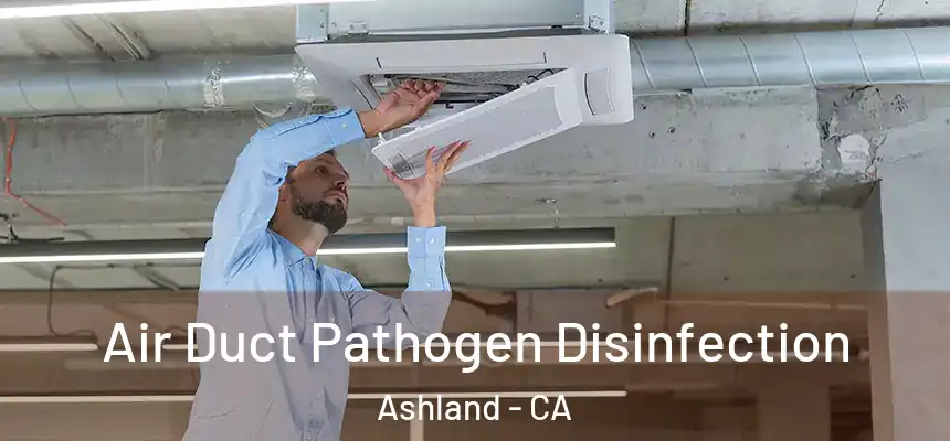 Air Duct Pathogen Disinfection Ashland - CA