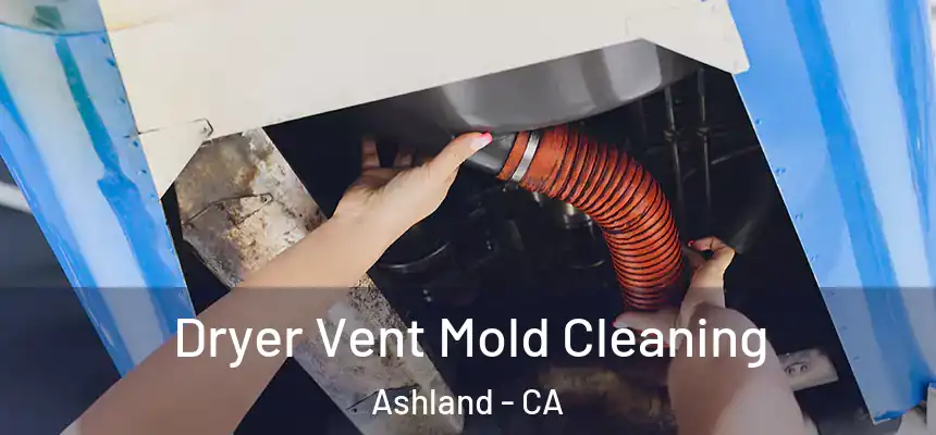 Dryer Vent Mold Cleaning Ashland - CA