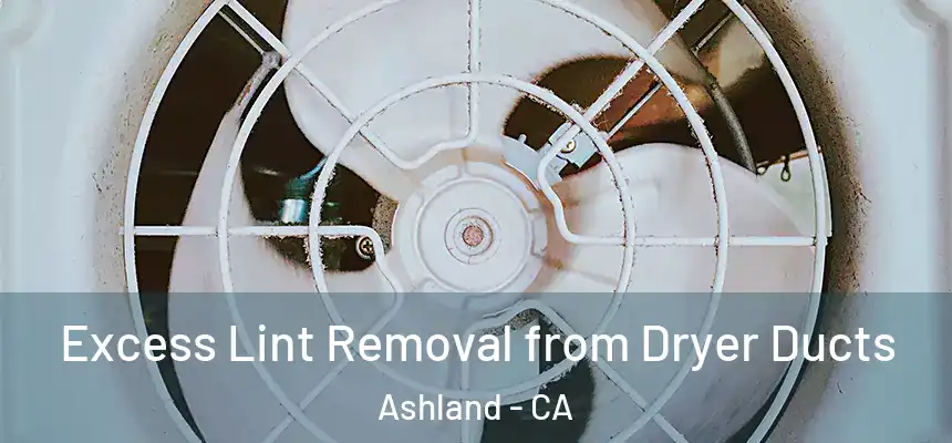  Excess Lint Removal from Dryer Ducts Ashland - CA