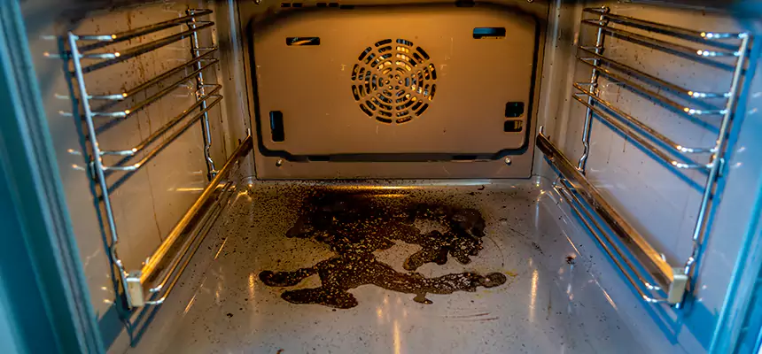 Our Dryer Vent Mold Cleaning Services in Ashland, CA