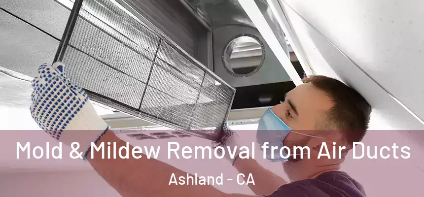  Mold & Mildew Removal from Air Ducts Ashland - CA