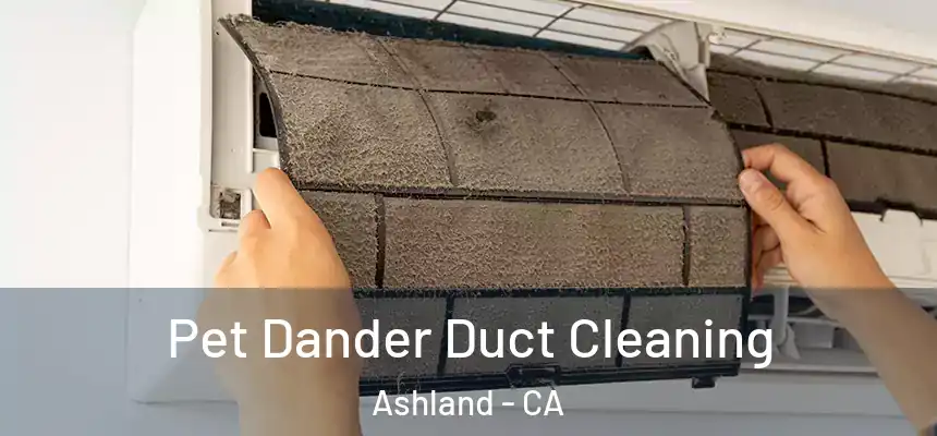Pet Dander Duct Cleaning Ashland - CA