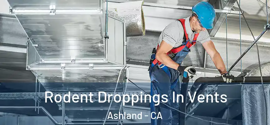  Rodent Droppings In Vents Ashland - CA