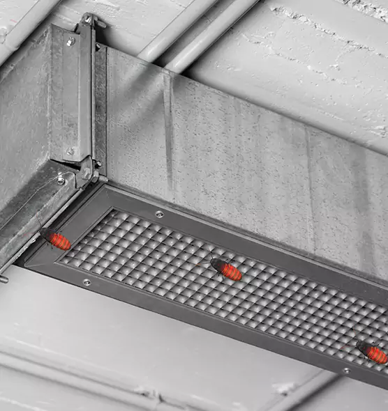 About Air Duct Cockroach Removal in Ashland, CA