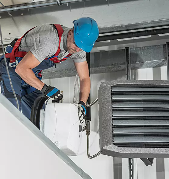 About HVAC Mold Remediation Service in Ashland, CA