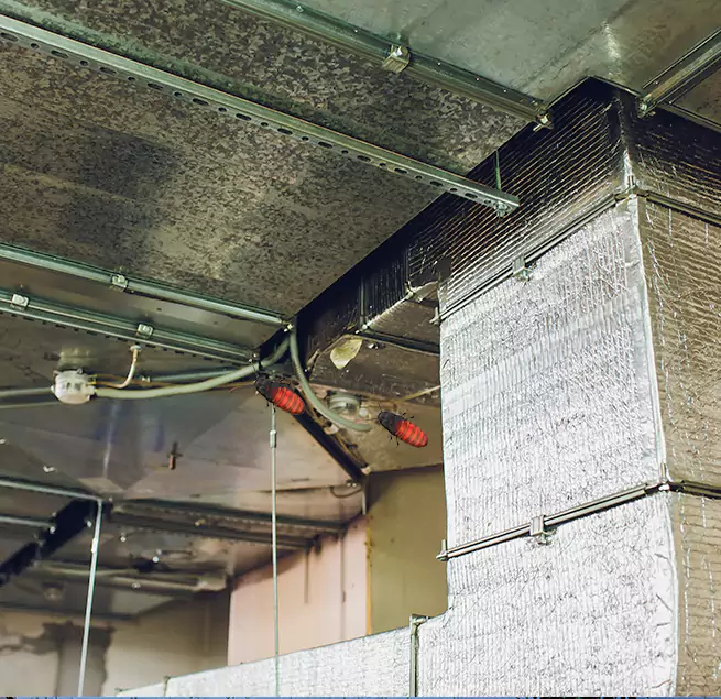 Why Homeowners & Businesses Trust Us Ashland, CA?